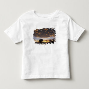 Botswana, Chobe-Nationalpark, Elefant Kleinkind T-shirt