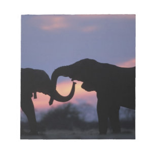 Botswana, Chobe-Nationalpark, Elefanten Notizblock