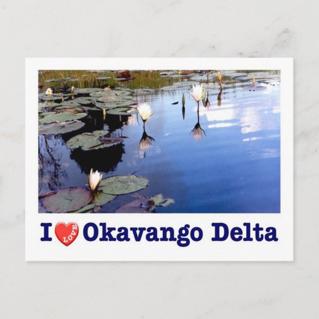 Botswana - Okavango-Delta - I Liebe - Postkarte (Vorderseite)