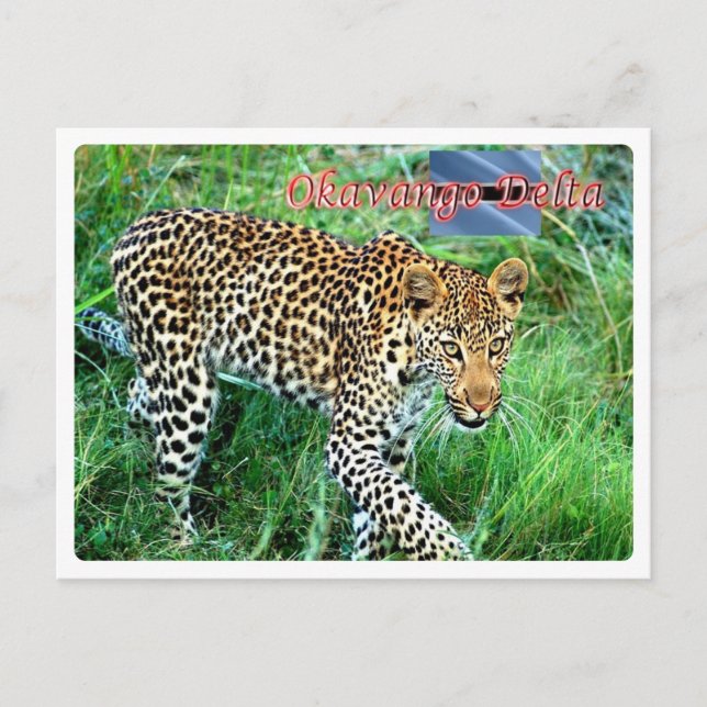 Botswana - Okavango-Delta - Postkarte (Vorderseite)