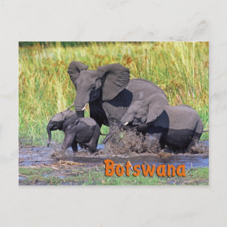Botswana Postkarte