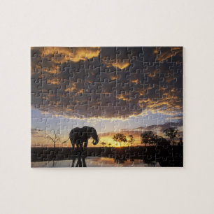 Botswana, Tschobe-Nationalpark, Elefant