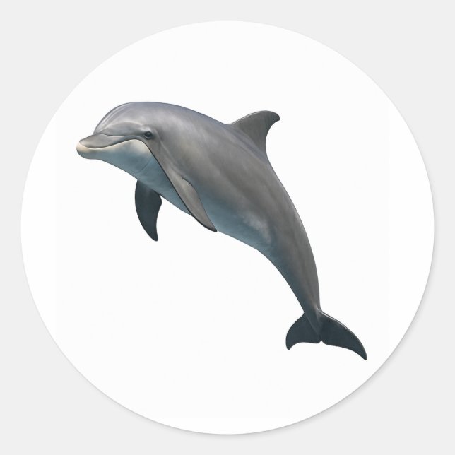 Bottlenose Bliss Runder Aufkleber (Vorderseite)