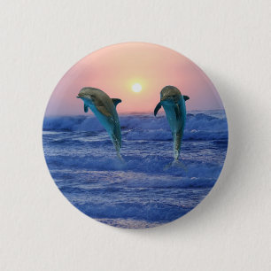 Bottlenose-Delphin am Sonnenaufgang Button