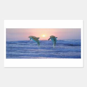 Bottlenose-Delphin am Sonnenaufgang Rechteckiger Aufkleber