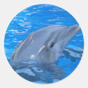 Bottlenose-Delphin-Aufkleber Runder Aufkleber