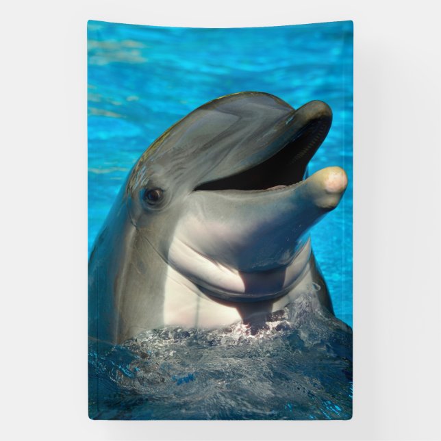 Bottlenose Delphin Head Banner (Vertikal)