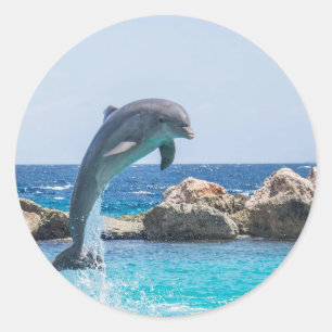 Bottlenose-Delphin Runder Aufkleber