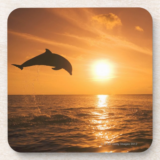 Bottlenose-Delphinspringen Untersetzer (Vorderseite)