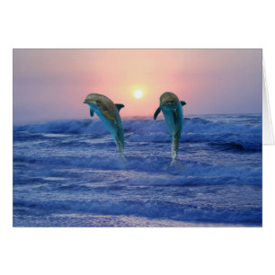 Bottlenose Dolphin bei Sonnenaufgang