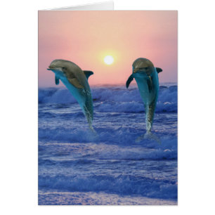 Bottlenose Dolphin bei Sonnenaufgang