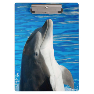 Bottlenose Dolphin Klemmbrett
