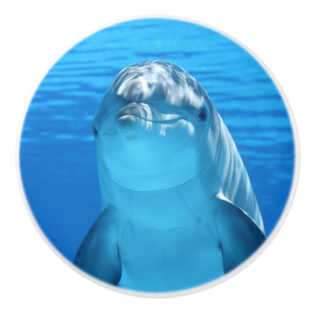 Bottlenose Dolphin looks at the camera under water Keramikknauf (Vorderseite)
