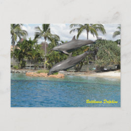 Bottlenose Dolphin Postkarte