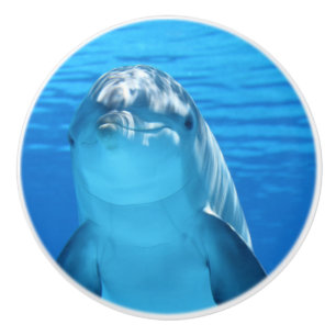 Bottlenose Dolphin sieht Kamera unter Wasser Keramikknauf