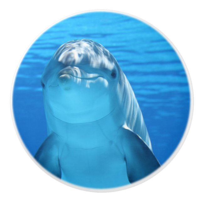 Bottlenose Dolphin sieht Kamera unter Wasser Keramikknauf (Vorderseite)