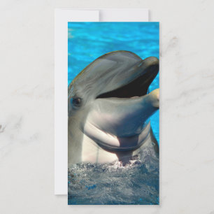 Bottlenose Feiertagskarte