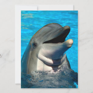 Bottlenose Feiertagskarte