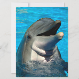 Bottlenose Feiertagskarte