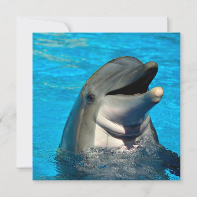 Bottlenose Feiertagskarte (Vorderseite)