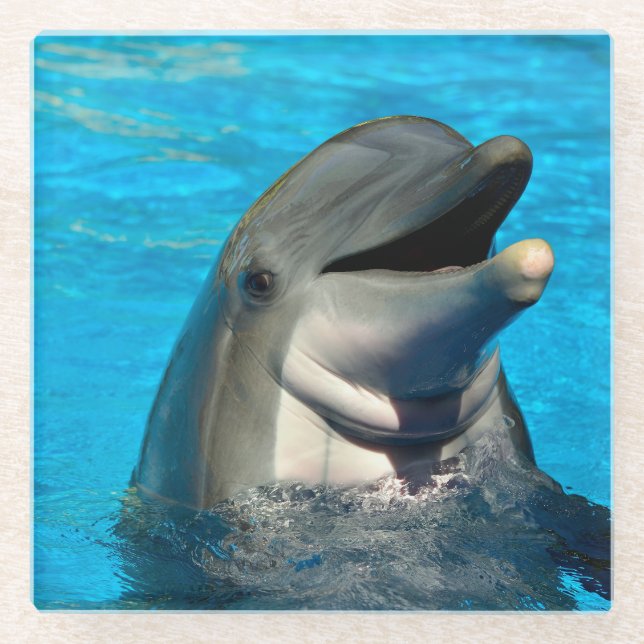 Bottlenose Glasuntersetzer (Vorderseite)
