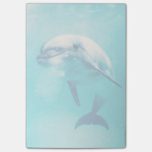 Bottlenosed Delphin Unterwasser Post-it Klebezettel