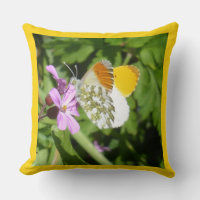 Bouche à papillon orange. Oreiller à la bordure