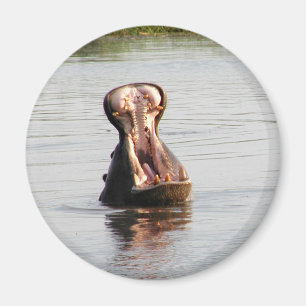 Bouche d'hippopotame (autour de ou aimant carré)