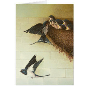 Bouches affamées 2011