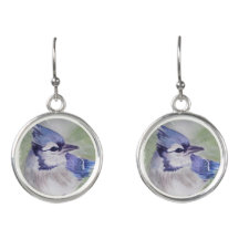 OISEAU BLEU AU PARADIS