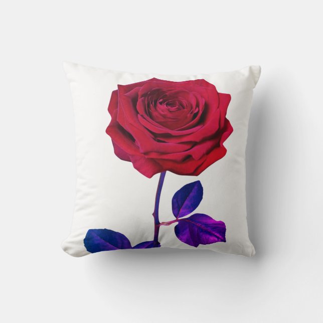 BouddhaToday V1 #44 Coussin de la paix 🌹 + Citati (Recto)