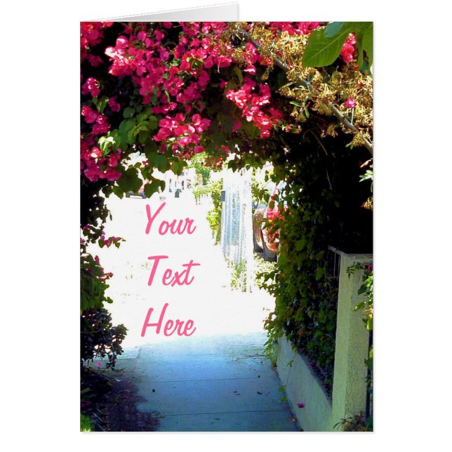 Bougainvillea (Devant)