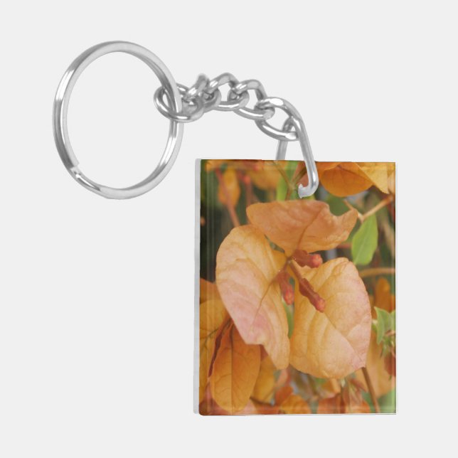 Bougainvillea (Devant gauche)