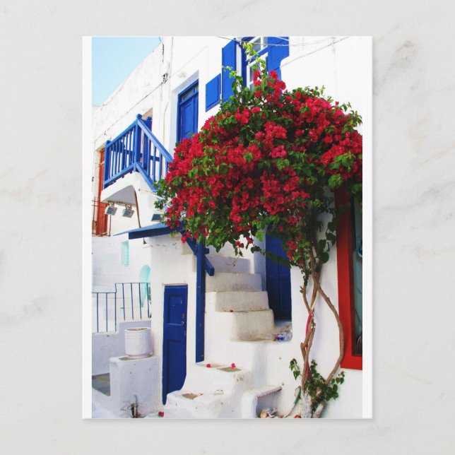 Bougainvillea, außerhalb eines Hauses, Mykonos Postkarte (Vorderseite)