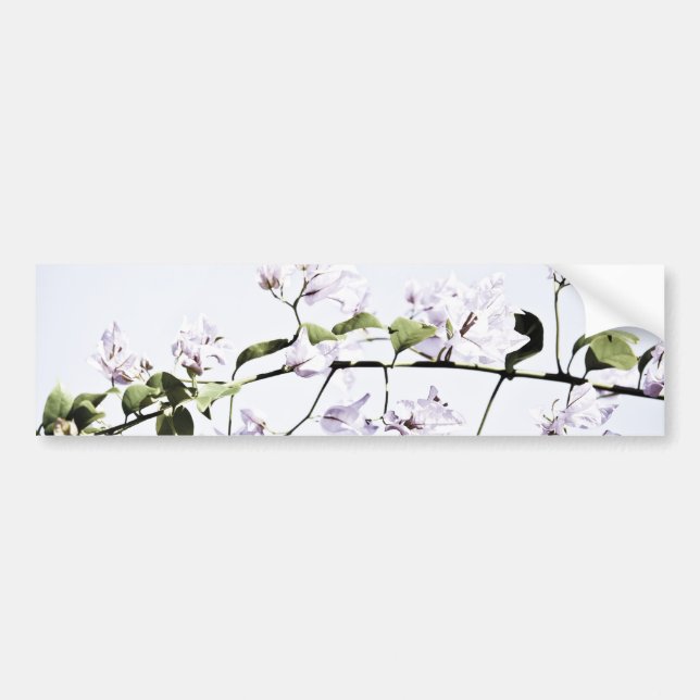 Bougainvillea Autoaufkleber (Vorne)