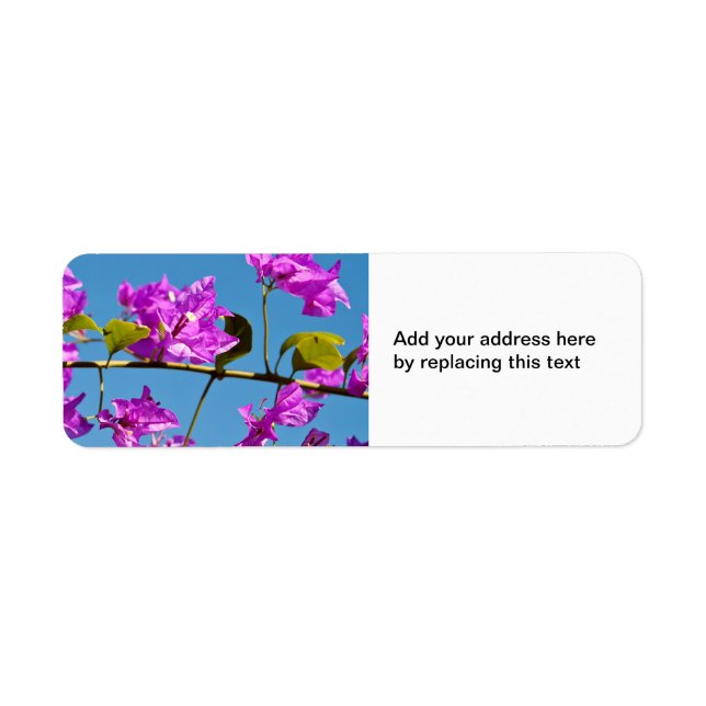 Bougainvillea-Blume (Vorne)