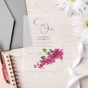 Bougainvillea Blume lila Kaskade Blumen Sommer