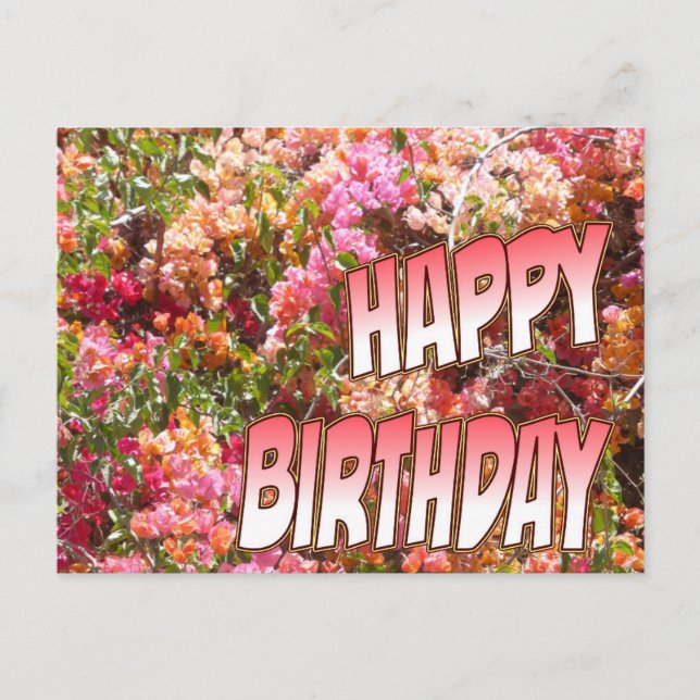 Bougainvillea Carte postale Anniversaire rose (Devant)