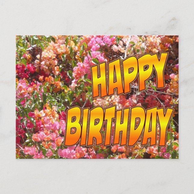 Bougainvillea Geburtstag Postcard Orange Postkarte (Vorderseite)