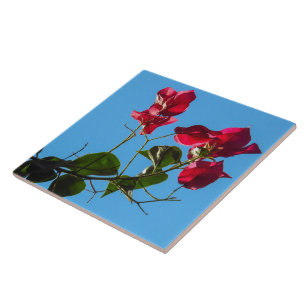 Bougainvillea Keramik Tile Fliese