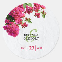 Bougainvillea Mittelmeer Griechische Insel Wedding