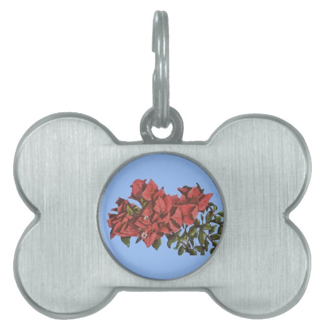 Bougainvillea Pet Tag Tiermarke (Vorderseite)