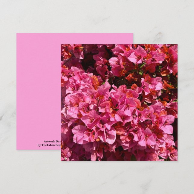 Bougainvillea Pink Tropical Vining Shrub Foto Karte (Vorne/Hinten)