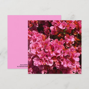 Bougainvillea Pink Tropicus Kletterstrauch Foto Karte