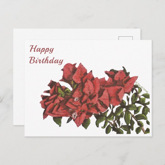 Bougainvillea Postcard Postkarte (Vorne/Hinten)