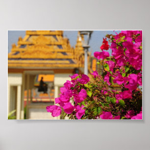 Bougainvillea Poster