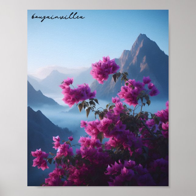 Bougainvillea Poster (Vorne)