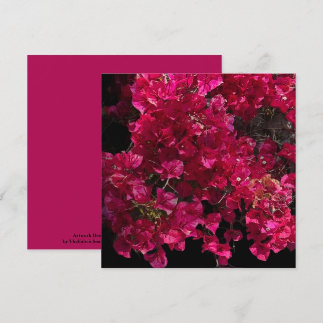 Bougainvillea Red Tropical Vining Shrub Foto Karte (Vorne/Hinten)