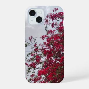 Bougainvillea Rouge de Rêve Photographie Florale i