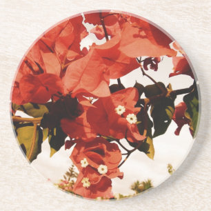 Bougainvillea Sandstein Untersetzer
